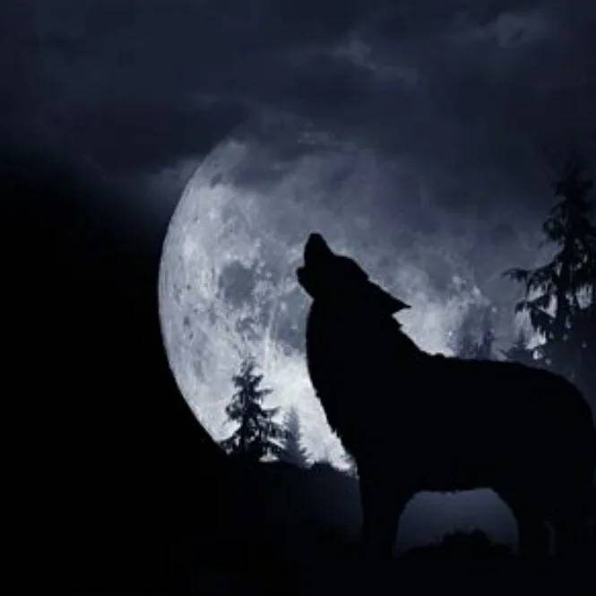 Howling Wolf Metal Stamp