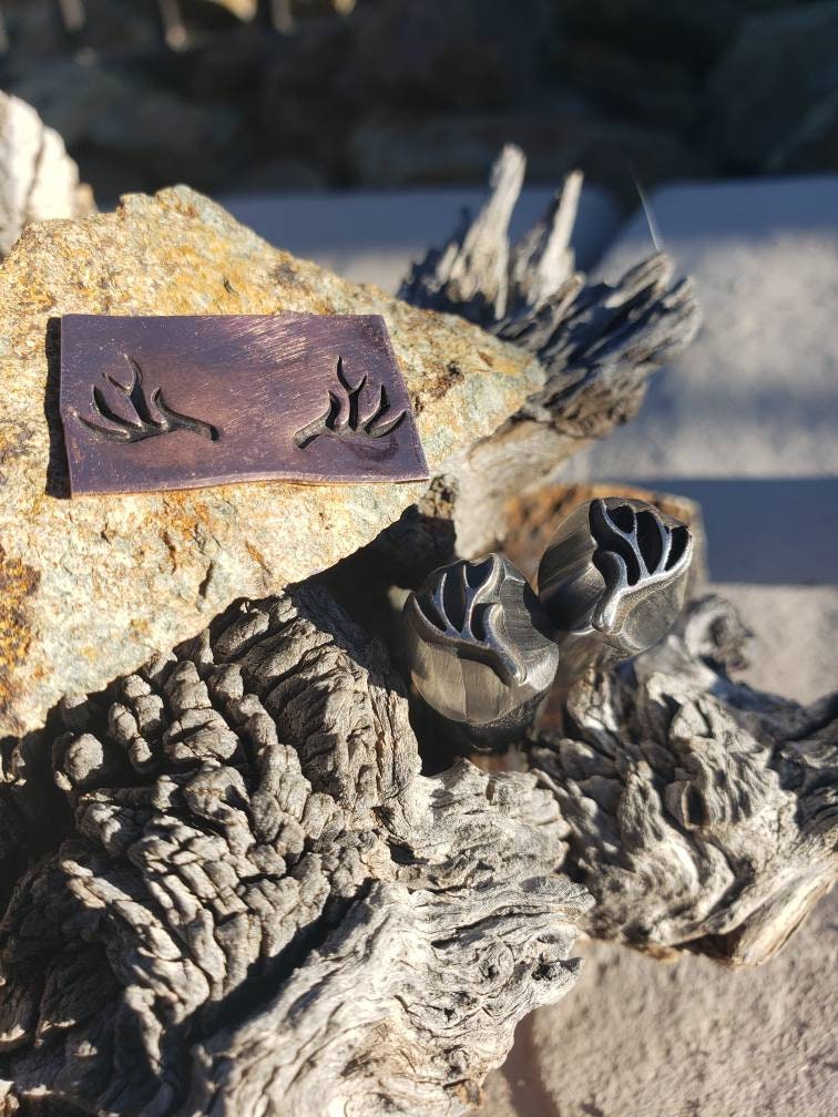 Big Sky Ranch Antlers