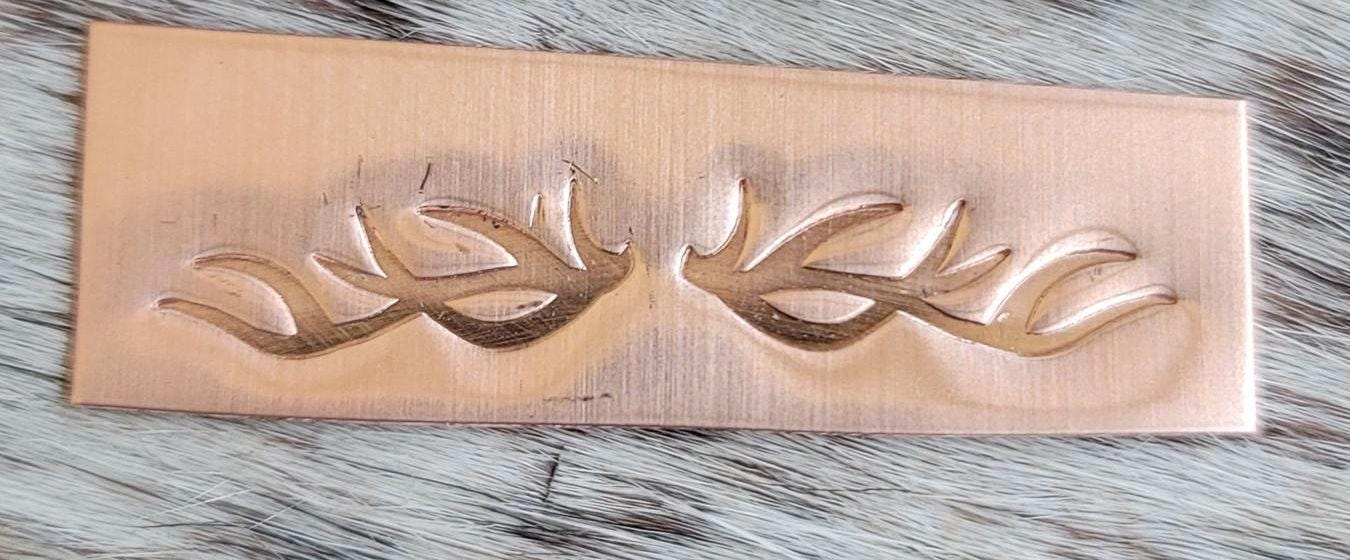Montana Elk Antlers & Skull